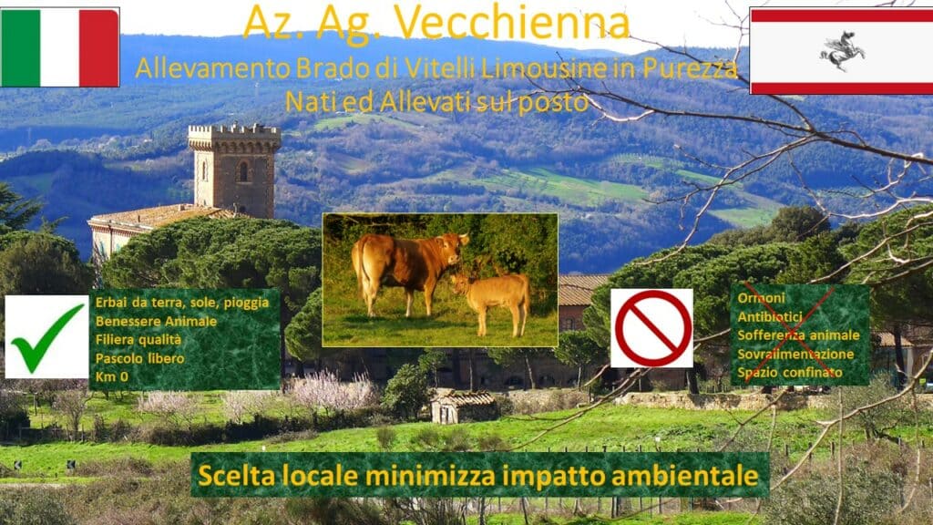 Affiche Vecchienna